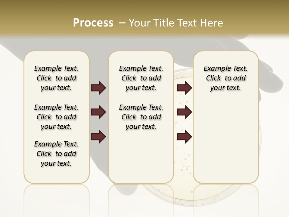 Petri Dish PowerPoint Template