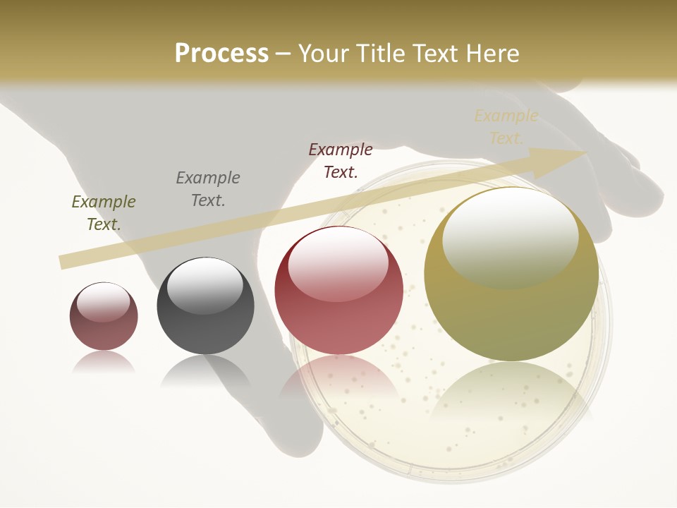 Petri Dish PowerPoint Template