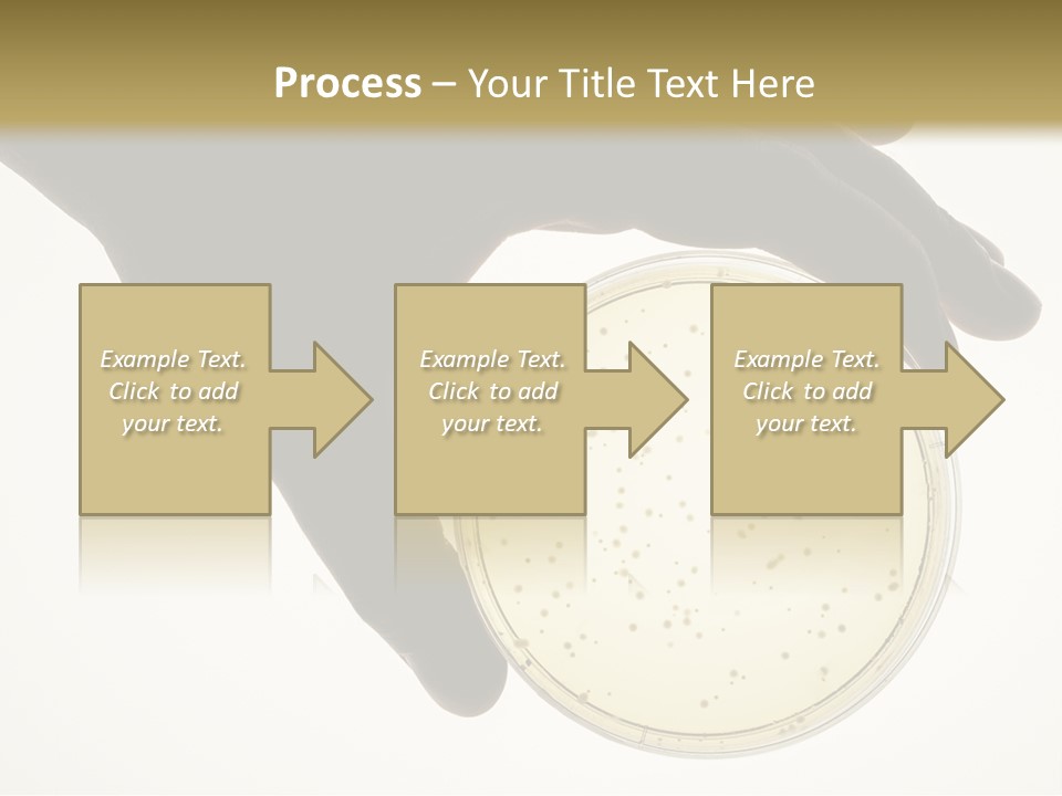 Petri Dish PowerPoint Template