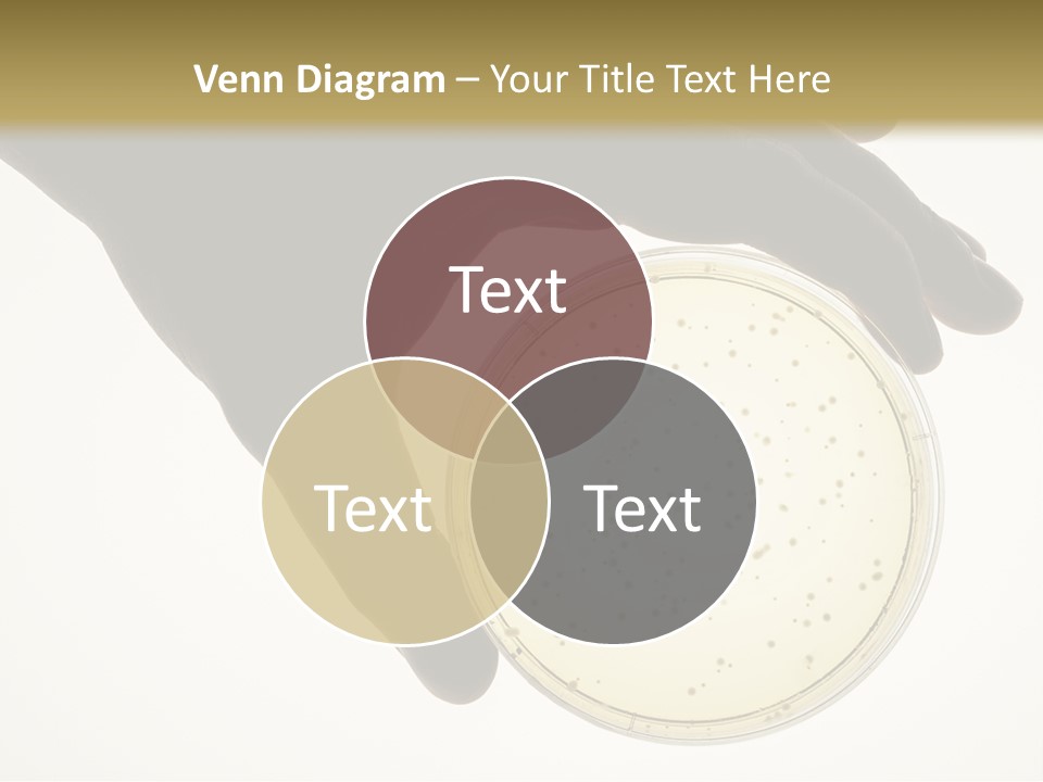 Petri Dish PowerPoint Template