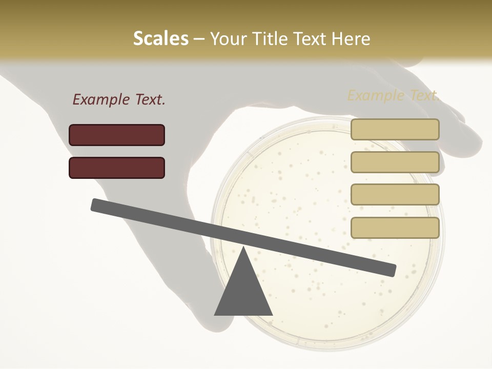 Petri Dish PowerPoint Template