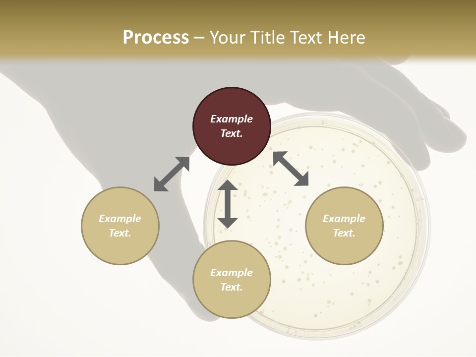 Petri Dish PowerPoint Template