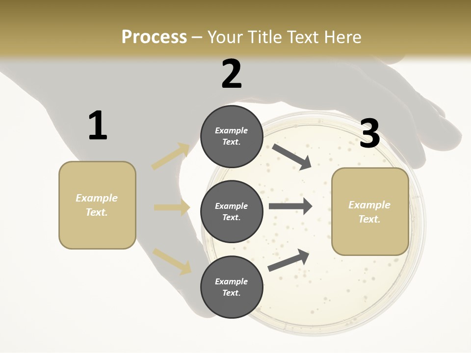 Petri Dish PowerPoint Template