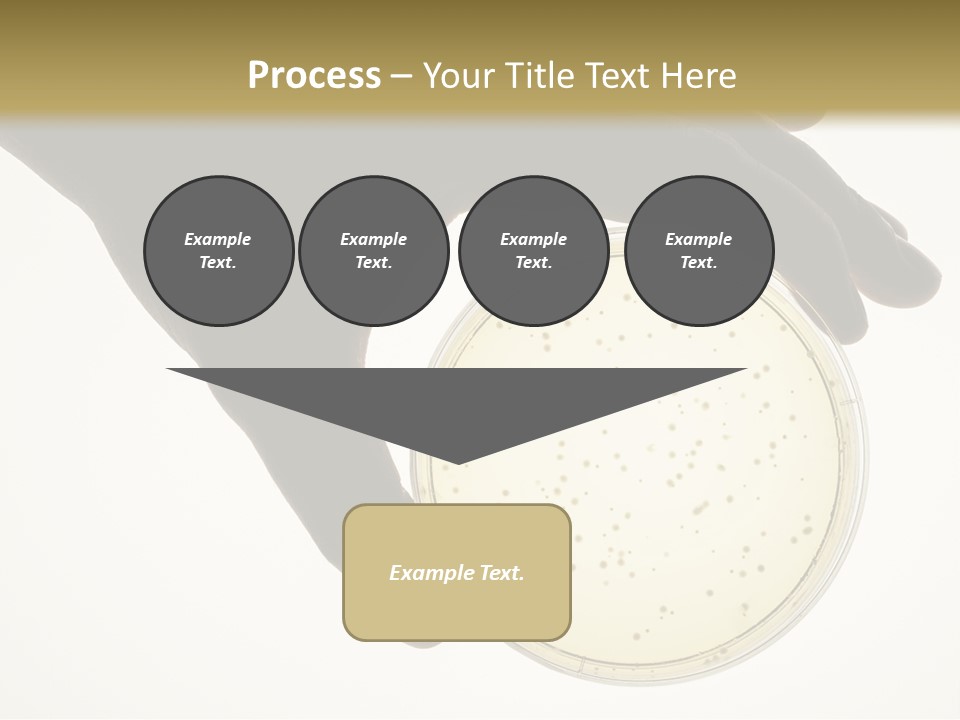 Petri Dish PowerPoint Template