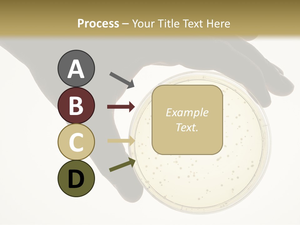 Petri Dish PowerPoint Template