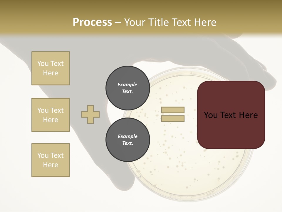 Petri Dish PowerPoint Template