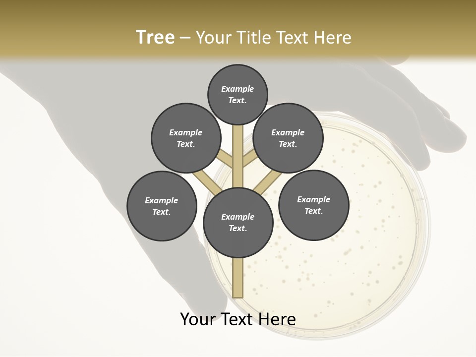 Petri Dish PowerPoint Template