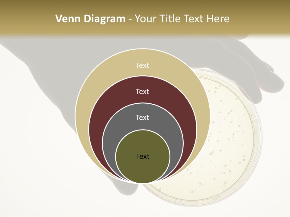 Petri Dish PowerPoint Template
