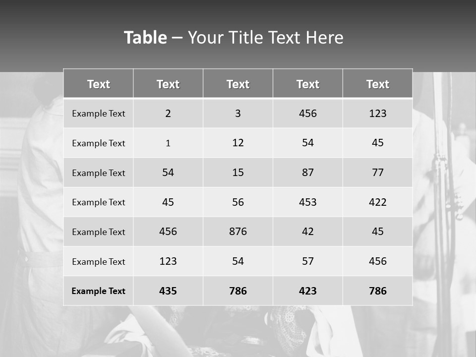 The Girl At The Hairdresser PowerPoint Template