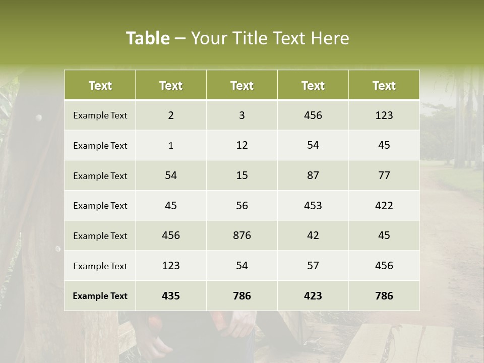 Man On The Bridge PowerPoint Template