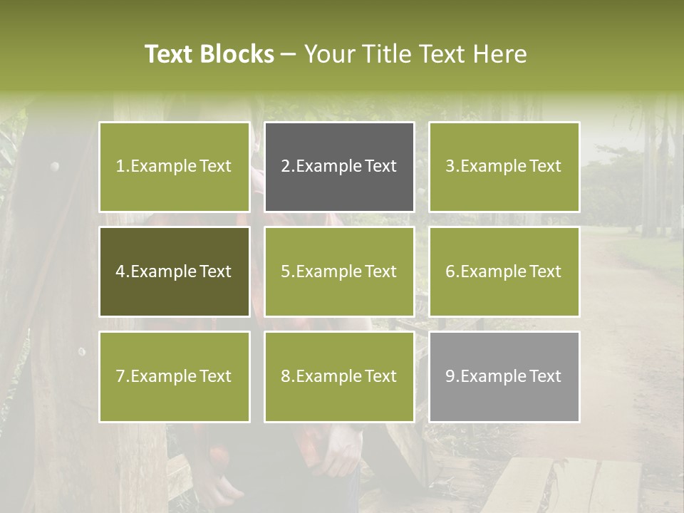 Man On The Bridge PowerPoint Template