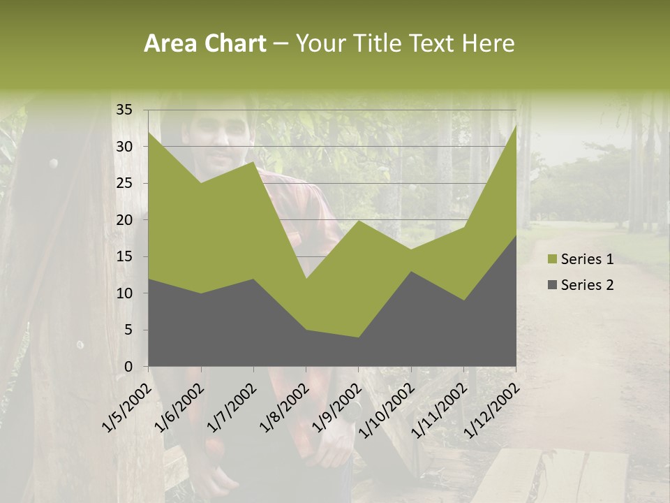 Man On The Bridge PowerPoint Template