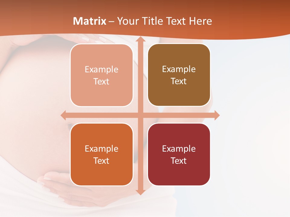 The Abdomen Of A Pregnant Woman PowerPoint Template