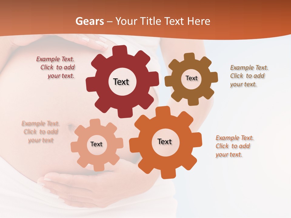 The Abdomen Of A Pregnant Woman PowerPoint Template