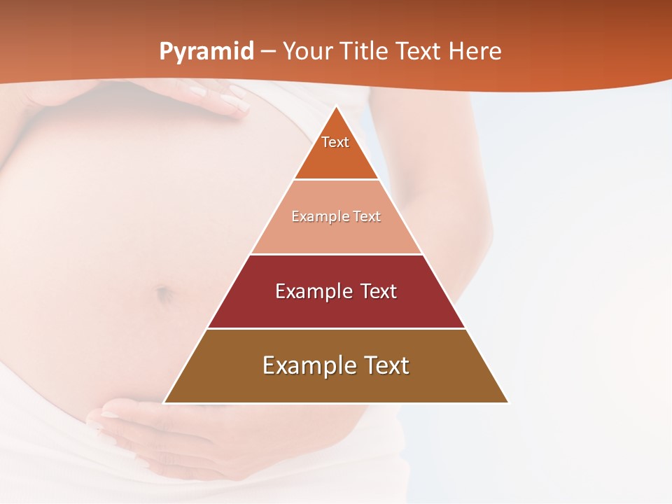 The Abdomen Of A Pregnant Woman PowerPoint Template