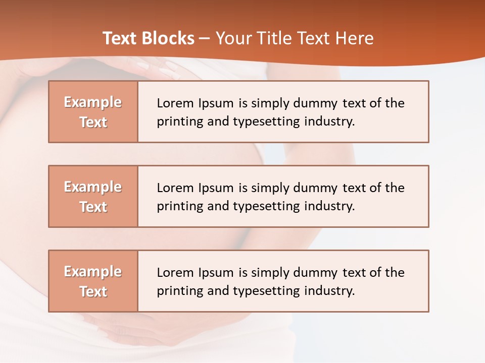 The Abdomen Of A Pregnant Woman PowerPoint Template
