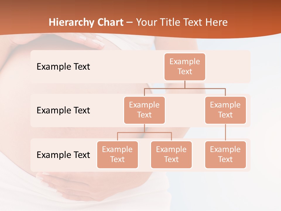 The Abdomen Of A Pregnant Woman PowerPoint Template