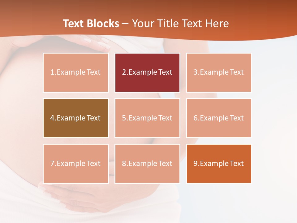 The Abdomen Of A Pregnant Woman PowerPoint Template