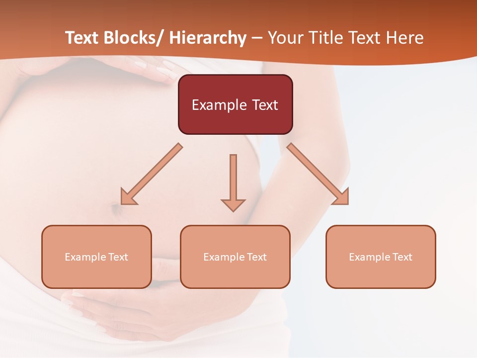 The Abdomen Of A Pregnant Woman PowerPoint Template