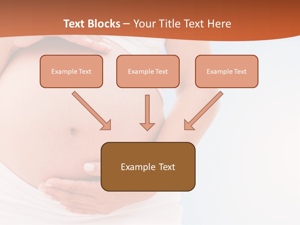 The Abdomen Of A Pregnant Woman PowerPoint Template