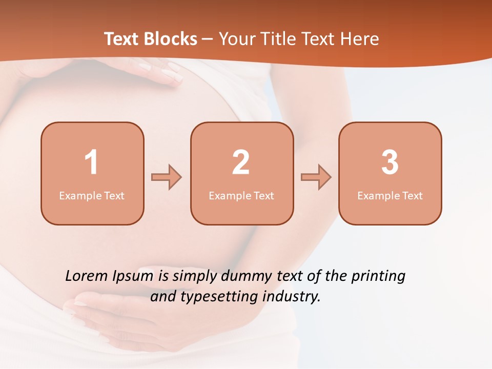 The Abdomen Of A Pregnant Woman PowerPoint Template