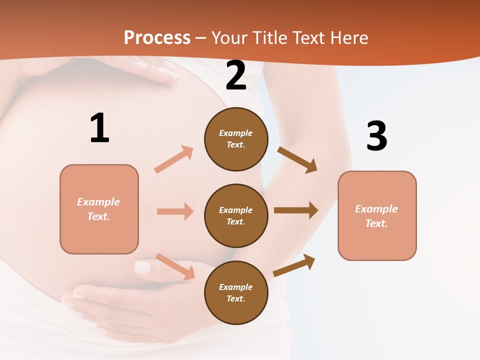 The Abdomen Of A Pregnant Woman PowerPoint Template