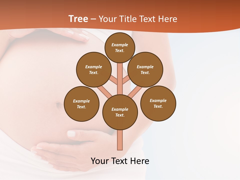 The Abdomen Of A Pregnant Woman PowerPoint Template