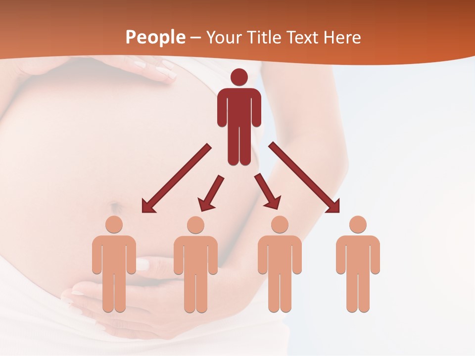 The Abdomen Of A Pregnant Woman PowerPoint Template