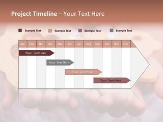 Set Of Cookies In Baby Hands PowerPoint Template