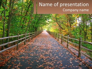 Road In The Park PowerPoint Template
