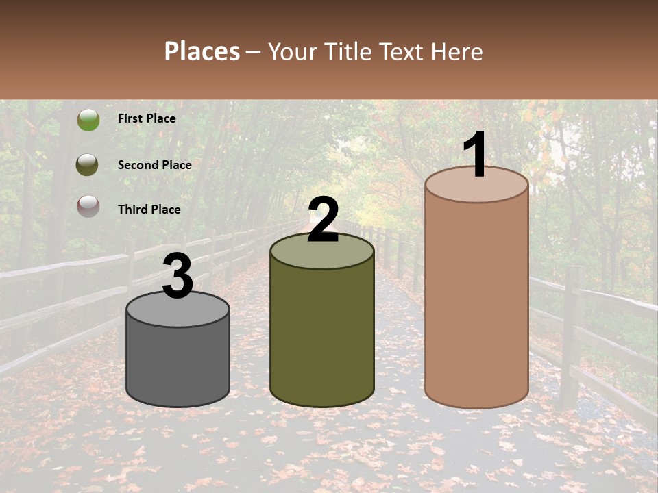 Road In The Park PowerPoint Template