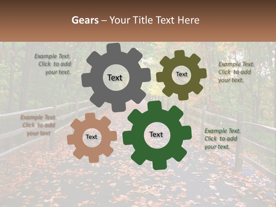 Road In The Park PowerPoint Template