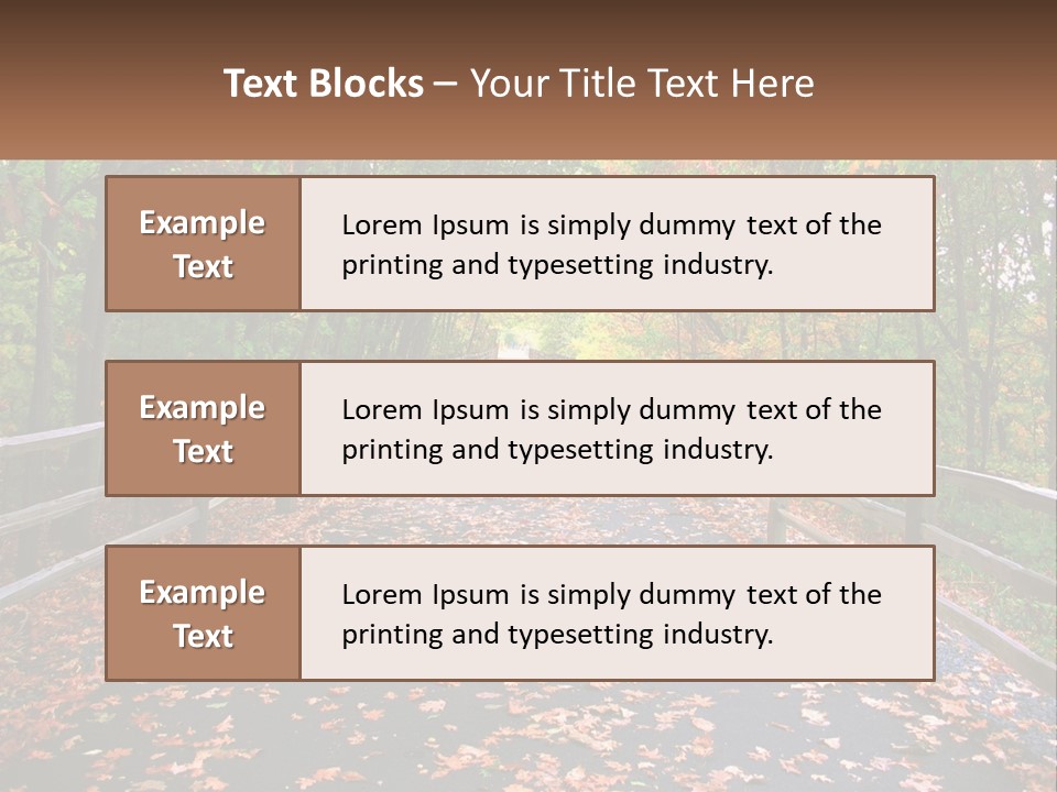 Road In The Park PowerPoint Template