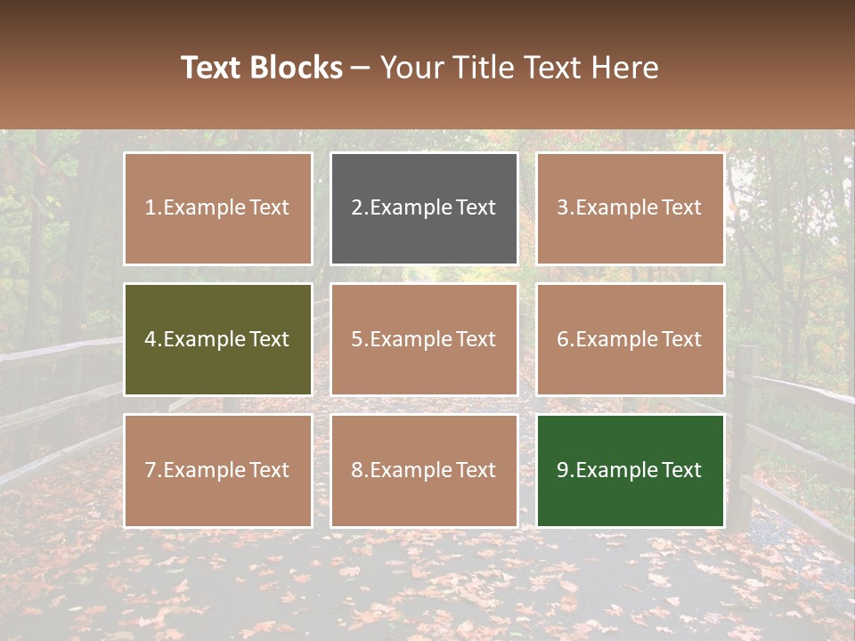 Road In The Park PowerPoint Template