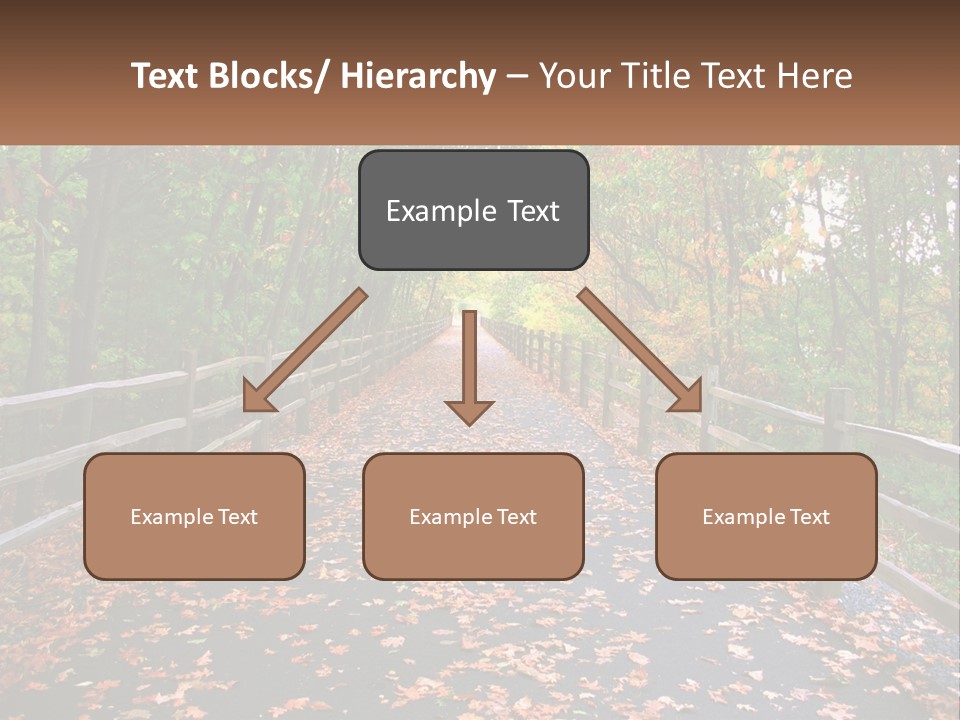 Road In The Park PowerPoint Template