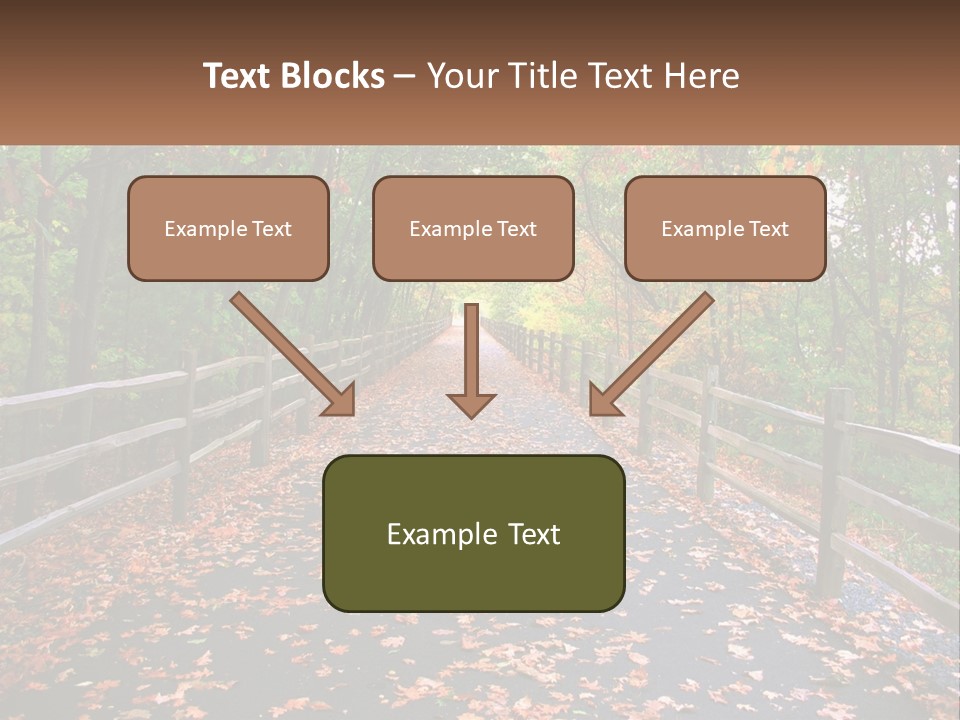 Road In The Park PowerPoint Template