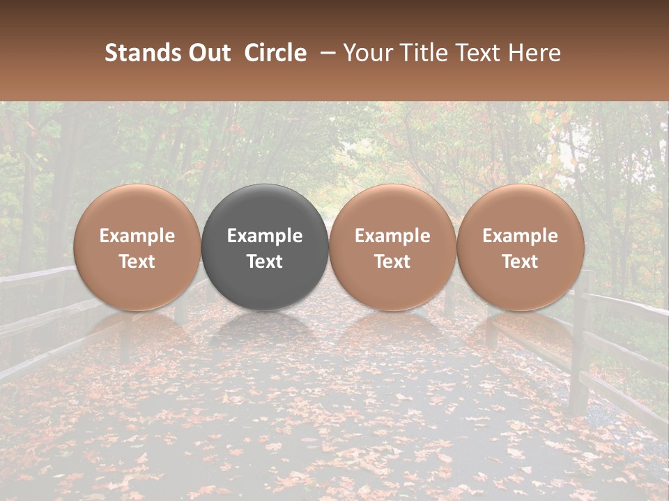 Road In The Park PowerPoint Template