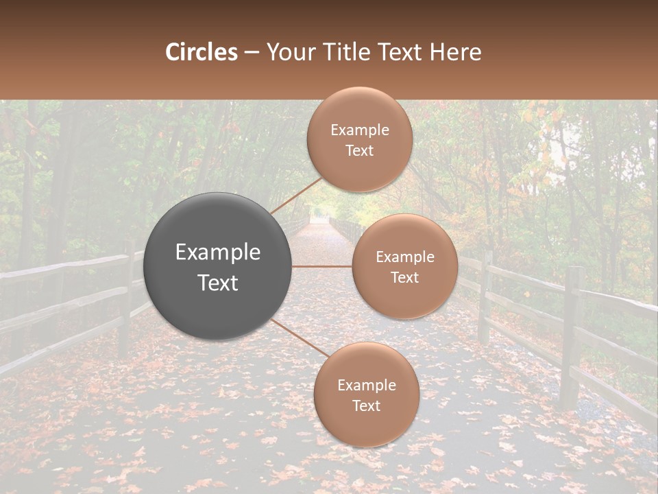 Road In The Park PowerPoint Template