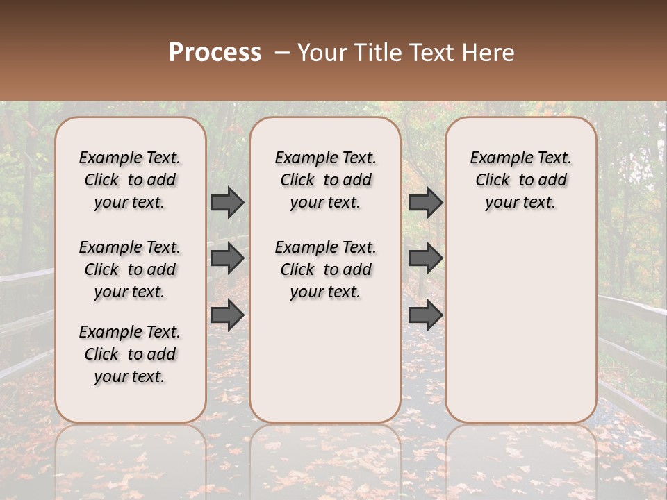 Road In The Park PowerPoint Template