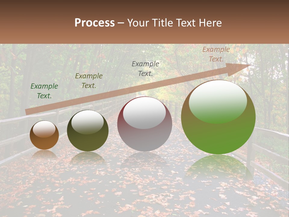 Road In The Park PowerPoint Template