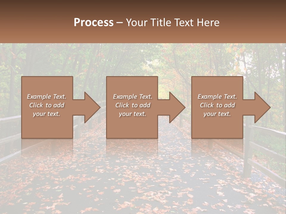 Road In The Park PowerPoint Template