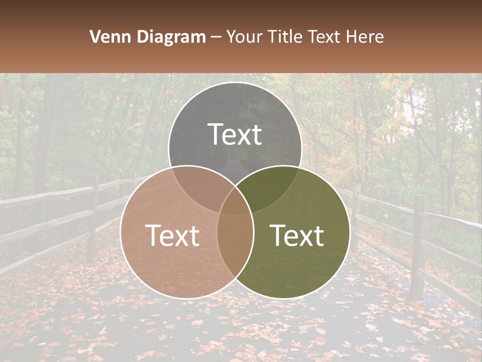 Road In The Park PowerPoint Template