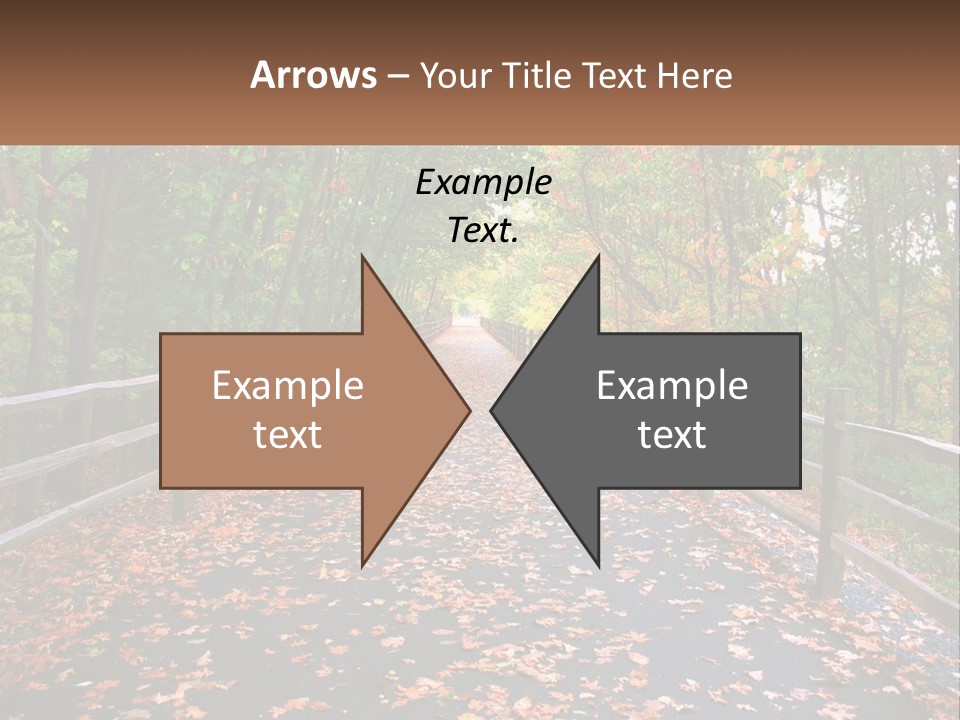 Road In The Park PowerPoint Template