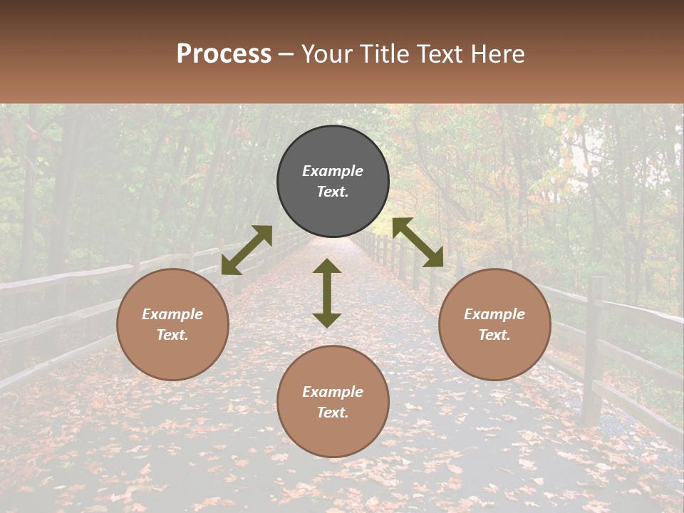 Road In The Park PowerPoint Template