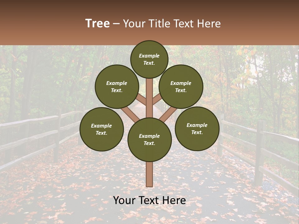 Road In The Park PowerPoint Template