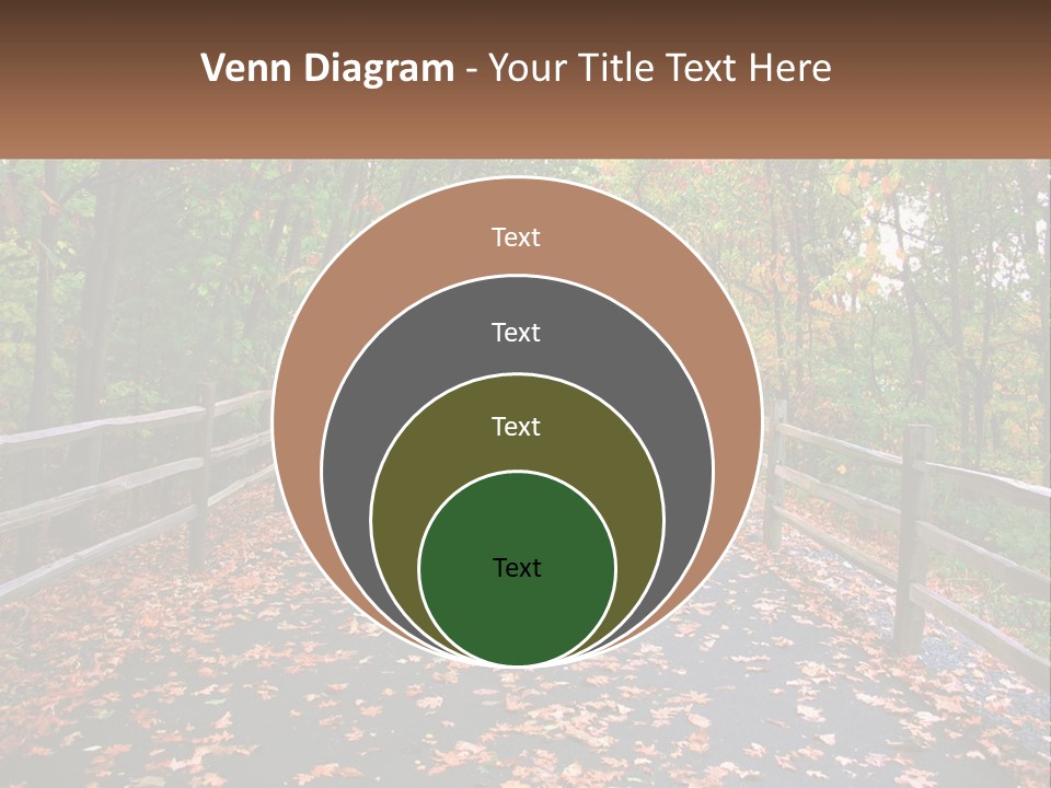 Road In The Park PowerPoint Template