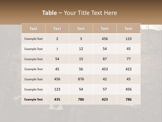 Guy And Girl Near The Ruined Castle PowerPoint Template