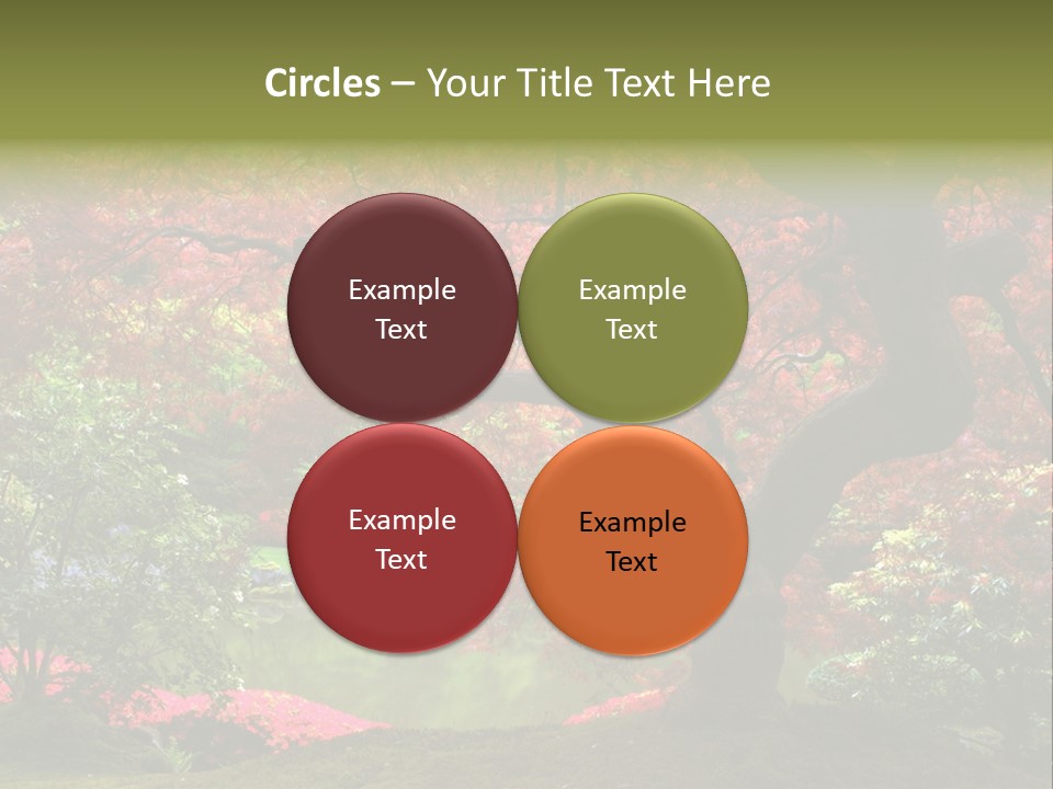 Tree With Red Leaves PowerPoint Template