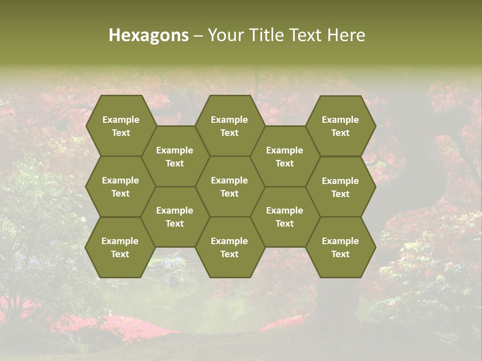 Tree With Red Leaves PowerPoint Template