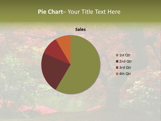 Tree With Red Leaves PowerPoint Template